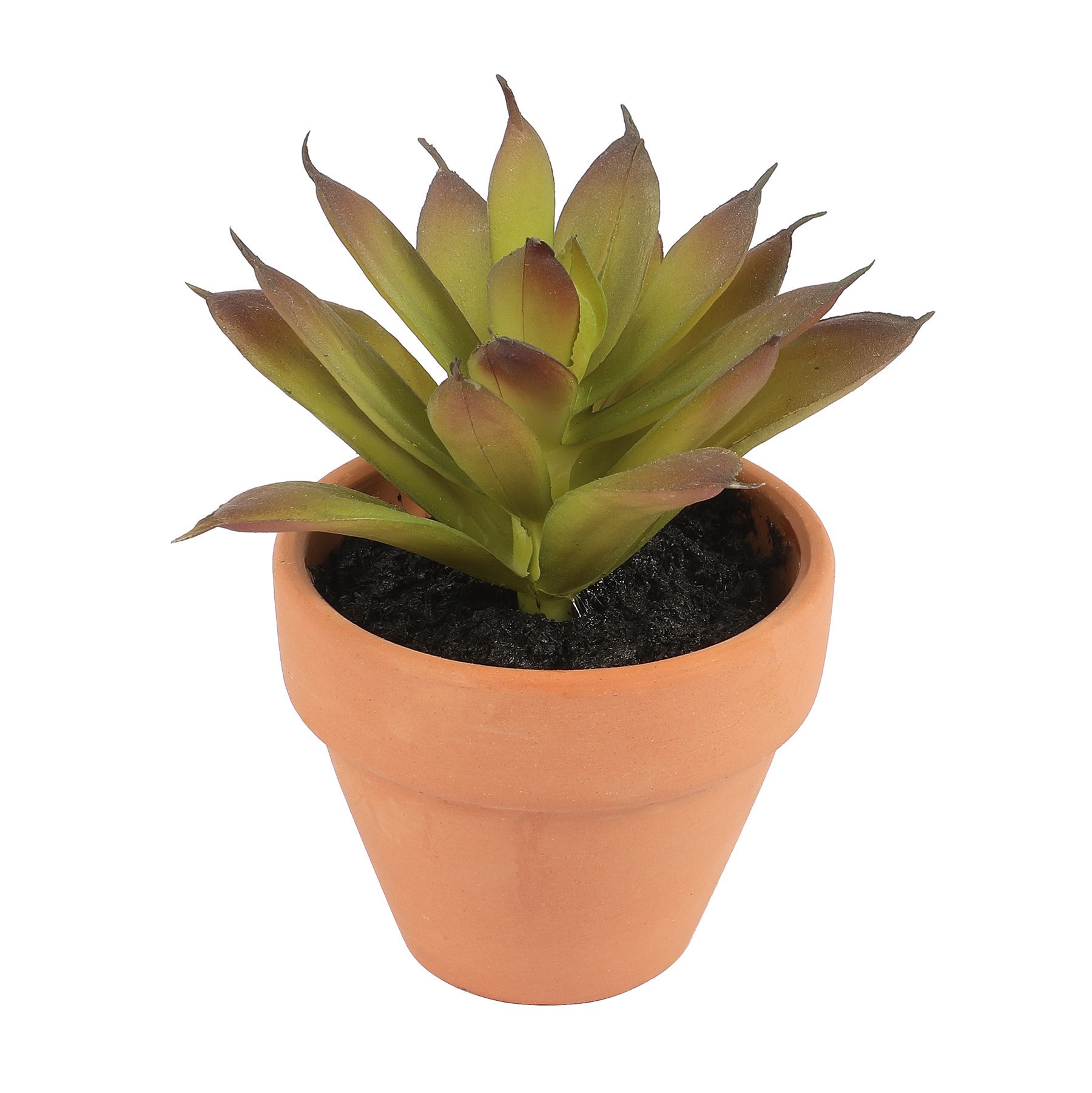 slide 3 of 7, Mini Premade Succulents In Terra Cotta Pots, 6ct. By Ashland, 6 ct