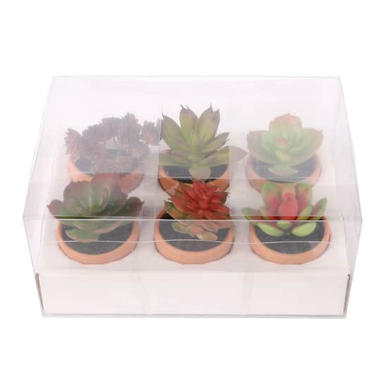 slide 1 of 7, Mini Premade Succulents In Terra Cotta Pots, 6ct. By Ashland, 6 ct