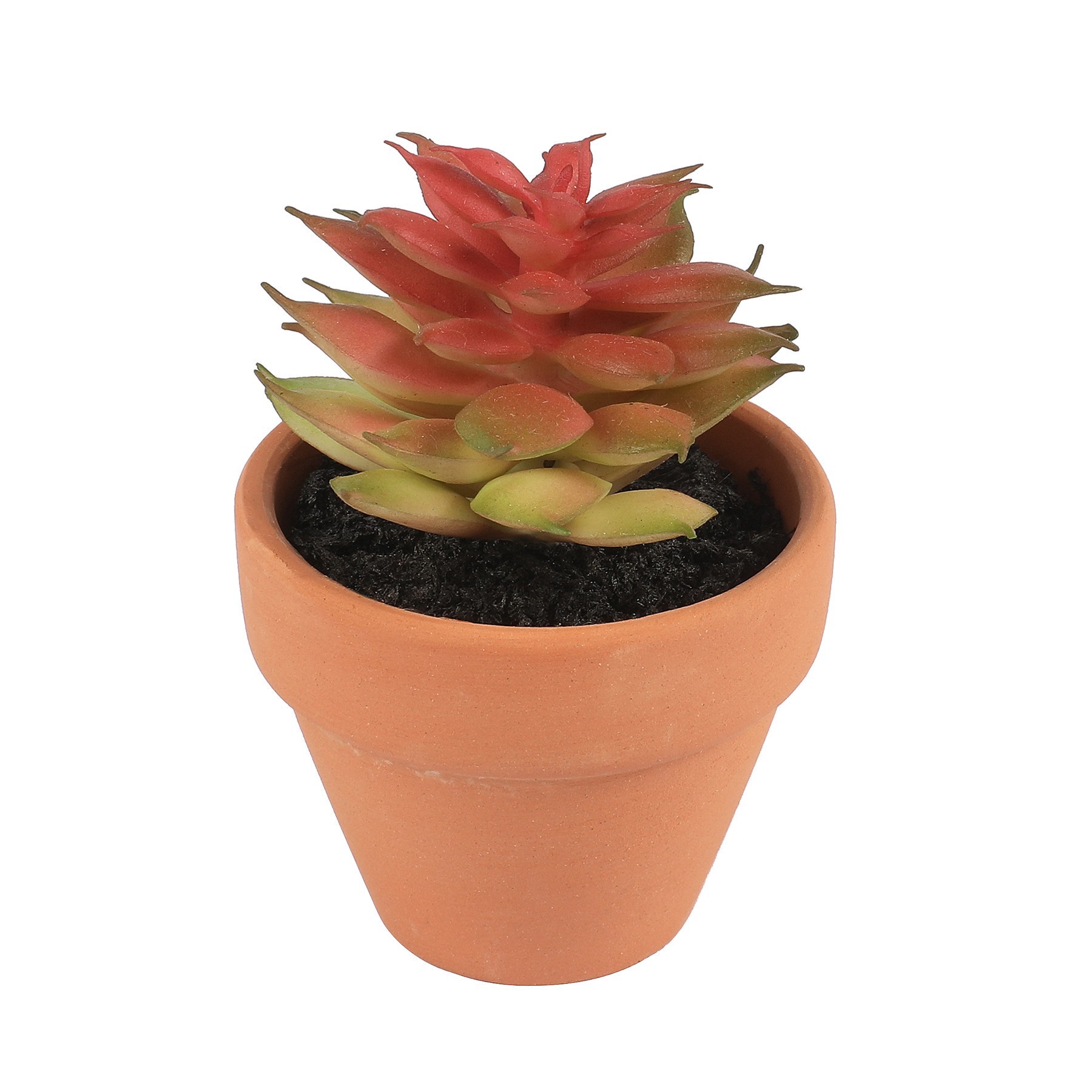 slide 4 of 7, Mini Premade Succulents In Terra Cotta Pots, 6ct. By Ashland, 6 ct