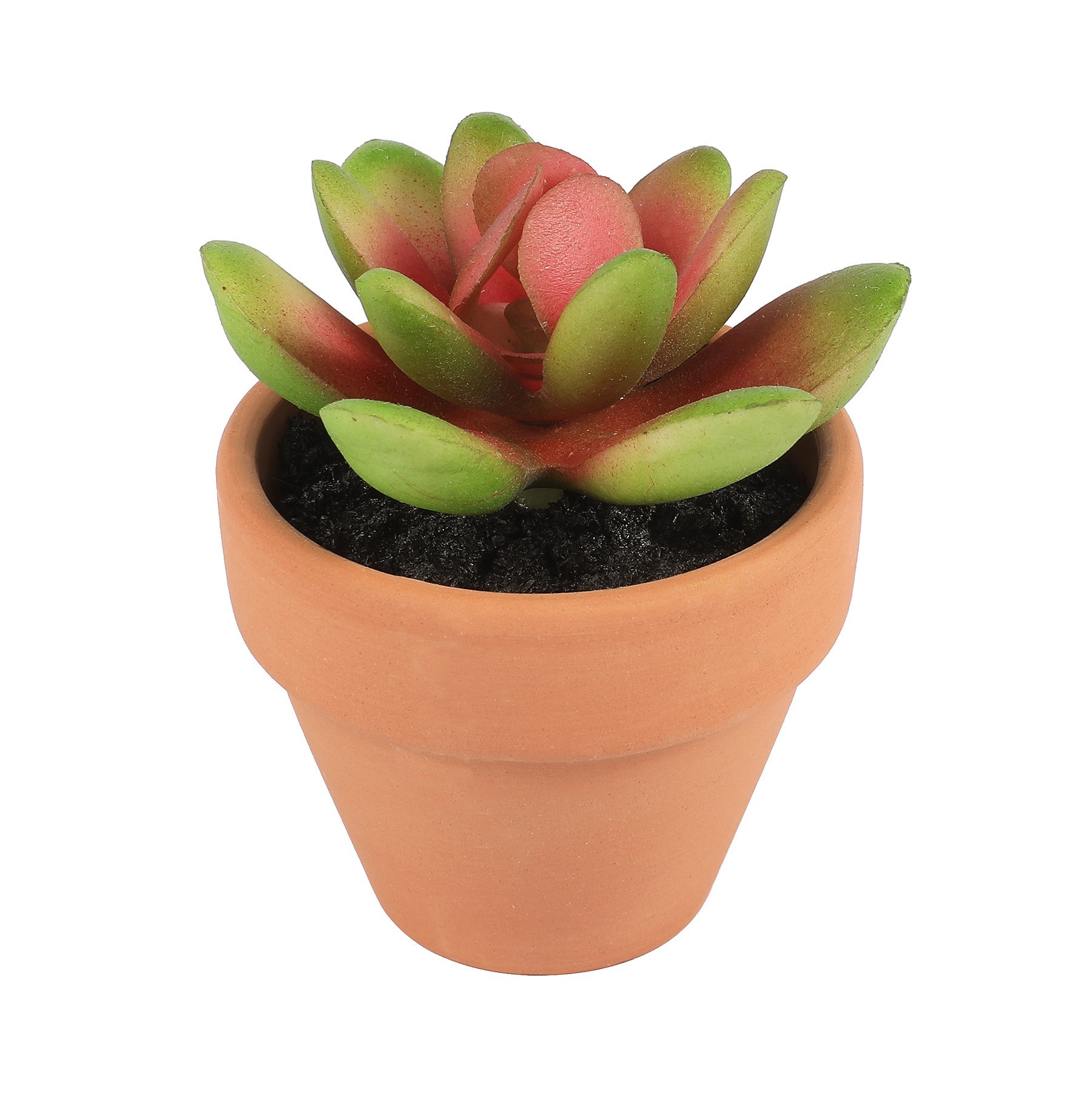 slide 7 of 7, Mini Premade Succulents In Terra Cotta Pots, 6ct. By Ashland, 6 ct