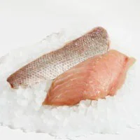 Wild Caught Frozen Snapper Fillets