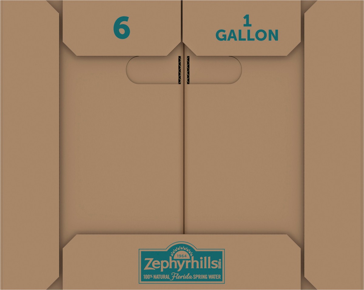 slide 8 of 9, ZEPHYRHILLS Brand 100% Natural Spring Water, 1-gallon plastic jugs (Pack of 6), 6 ct