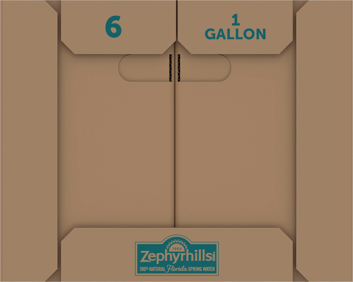 slide 7 of 9, ZEPHYRHILLS Brand 100% Natural Spring Water, 1-gallon plastic jugs (Pack of 6), 6 ct