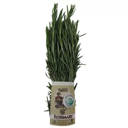 Goodness Gardens Organic Rosemary Bunch