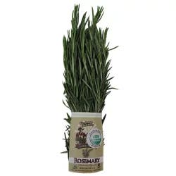 Goodness Gardens Organic Rosemary Bunch