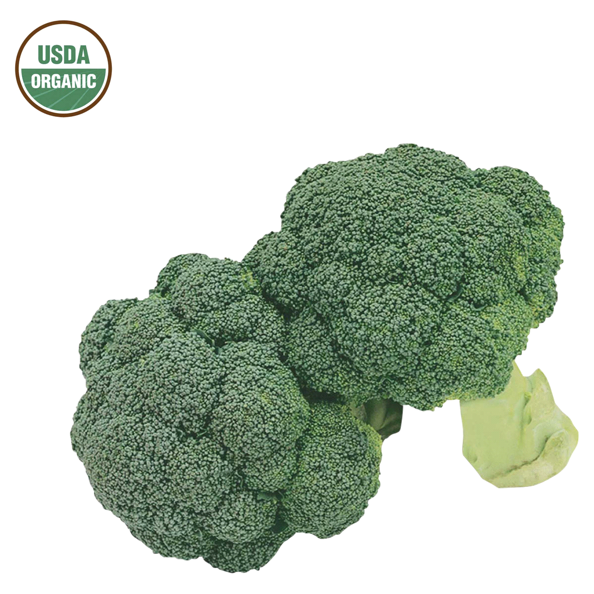 slide 1 of 1, Cal-Organic Farms Organic Broccoli, 1 ct
