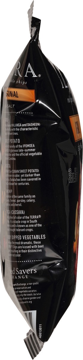 slide 8 of 10, Terra Original Sea Salt Real Vegetable Chips 1.5 oz. Bag, 1.5 oz