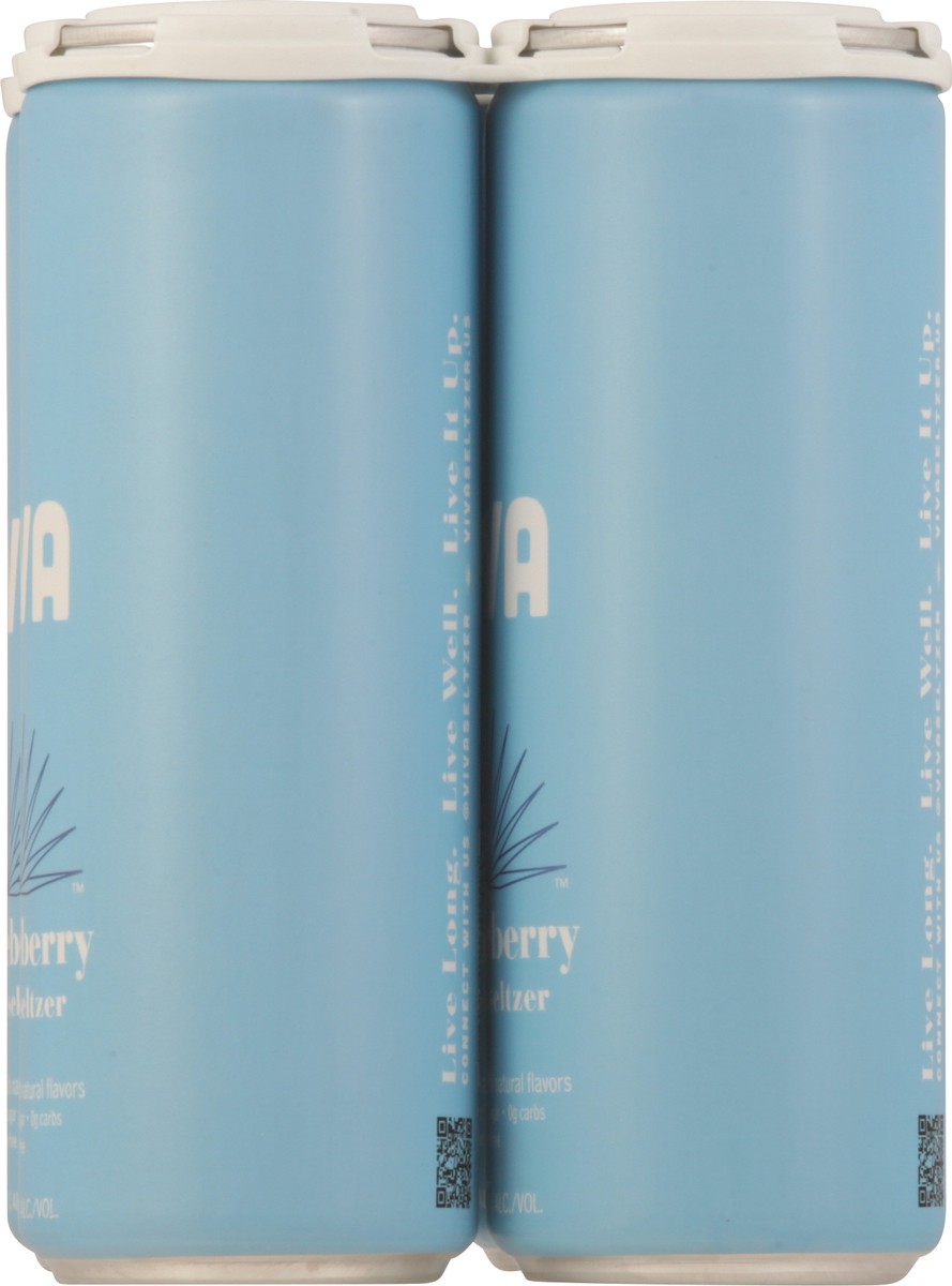 slide 6 of 14, Viva Tequila Seltzer Huckleberry, 4 ct; 12 oz