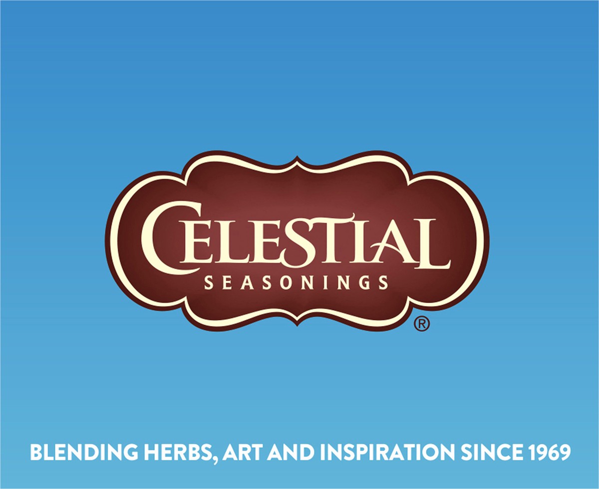 slide 7 of 7, Celestial Seasonings Half & Half Iced Tea, 18 ct