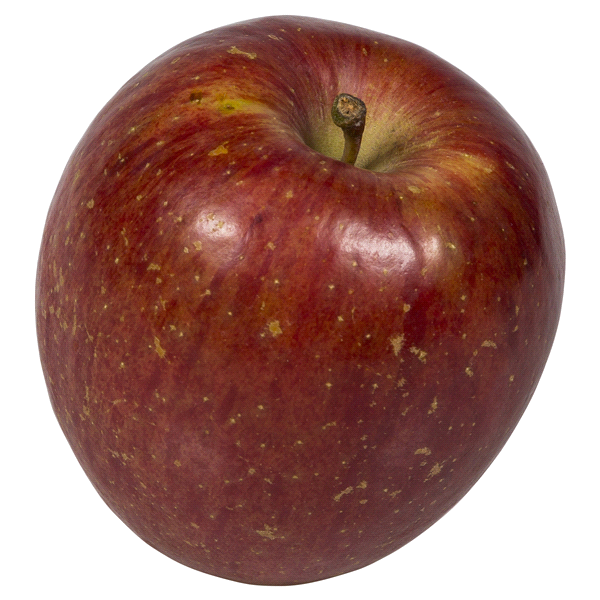 slide 1 of 1, Organic Fuji Apples, 1 ct