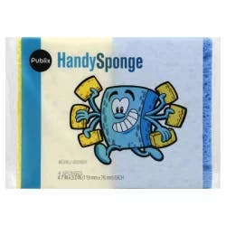 Publix Handy Sponge