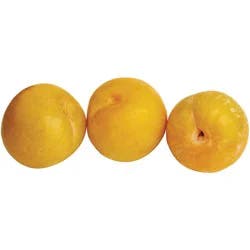 Plums, Yellow, Large