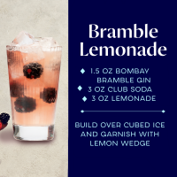 slide 3 of 25, Bombay Bramble Blackberry & Raspberry Flavored Gin 750 ml, 750 ml