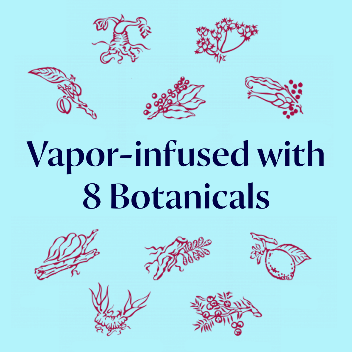 slide 12 of 25, Bombay Bramble Blackberry & Raspberry Flavored Gin 750 ml, 750 ml