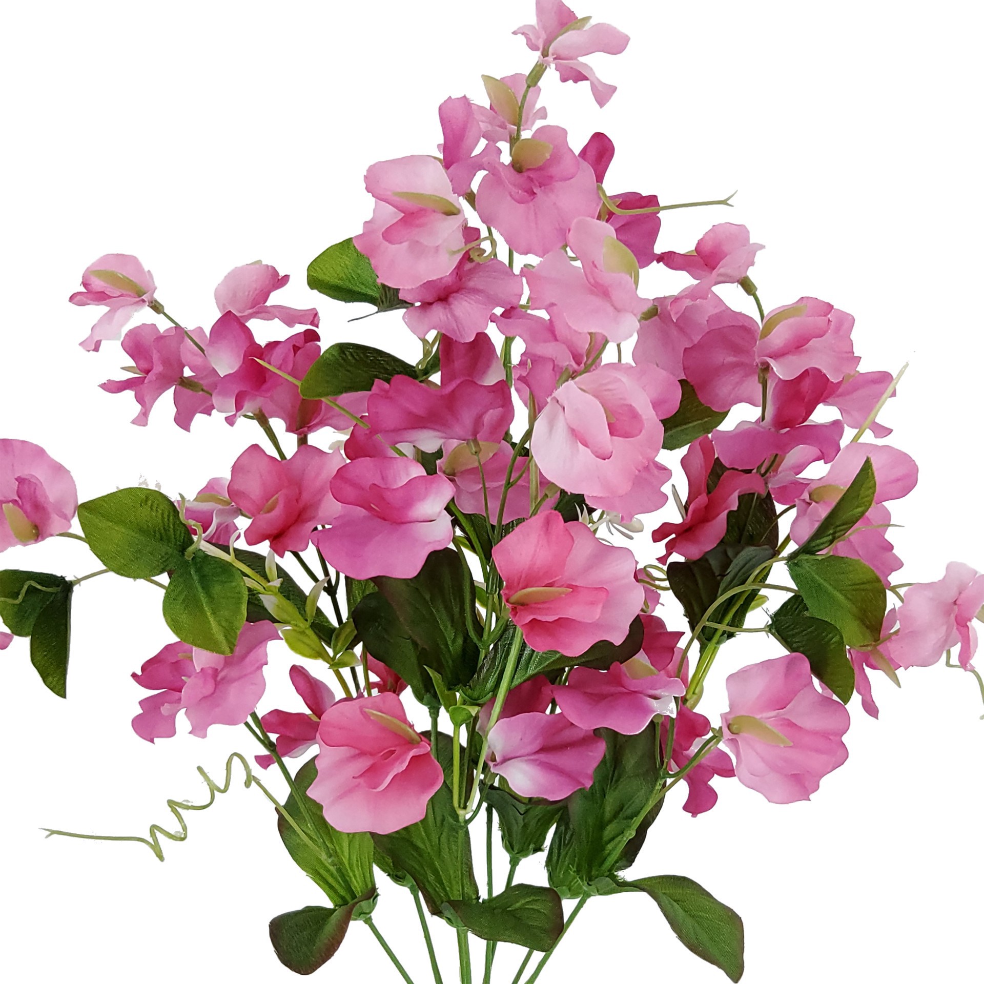 slide 2 of 3, 19" Pink Sweet Pea Bush By Ashland, 19 in