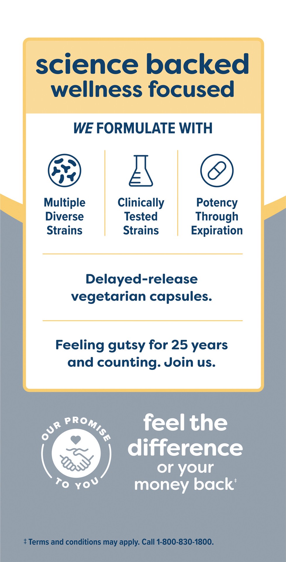 slide 2 of 5, Renew Life Probiotic Adult 50 Plus Supplement, 90 Vegetarian Probiotic Capsules, 30 Billion CFU, 90 ct