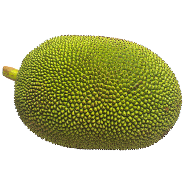 slide 1 of 1, Melissa Jackfruit, per lb