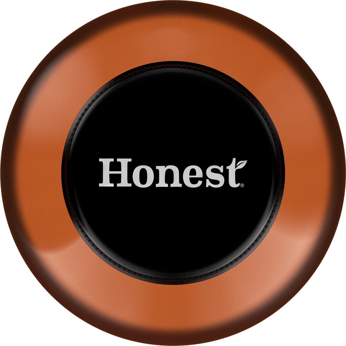 slide 4 of 9, Honest Tea Just Black Bottle, 16.9 fl oz, 16.9 fl oz