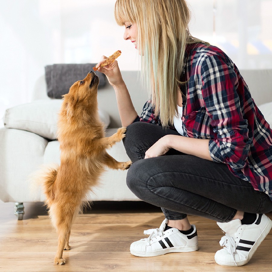 slide 5 of 7, Good 'n' Fun Dog Chew, 4 ct