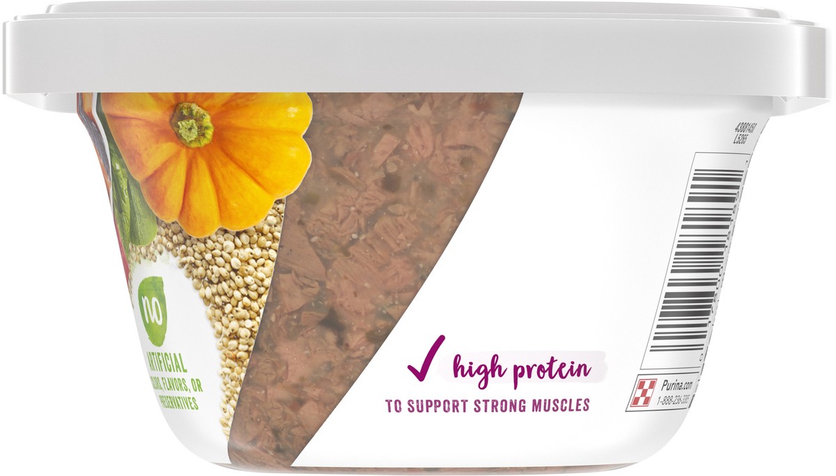 slide 6 of 9, Beneful Purina Beneful Wet Dog Food, Superfood Blend With Beef & Salmon - 9 oz. Tub, 9 oz