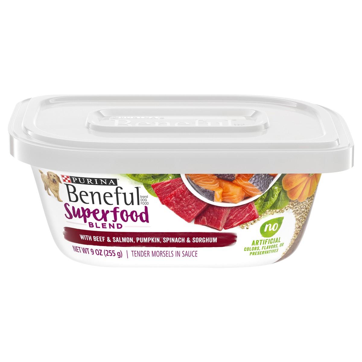 slide 1 of 9, Beneful Purina Beneful Wet Dog Food, Superfood Blend With Beef & Salmon - 9 oz. Tub, 9 oz