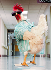 slide 1 of 1, Avanti Card Get Well Rooster Hospital Go, 1 ct