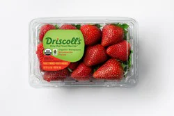 Driscoll's Driscolls Organic Strawberries, 16 oz