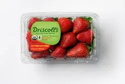 Driscoll's Organic Strawberries, Organic Fair Trade, 16 oz.