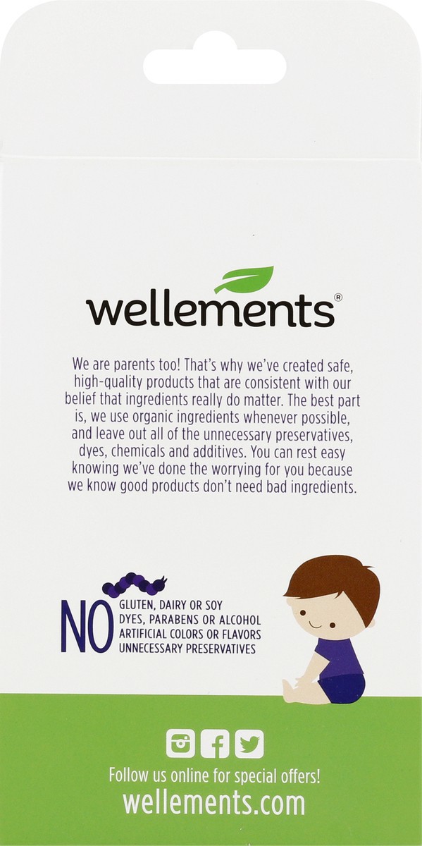 slide 7 of 10, Wellements Organic Elderberry Pops For Kids - 10 Count, 10 ct