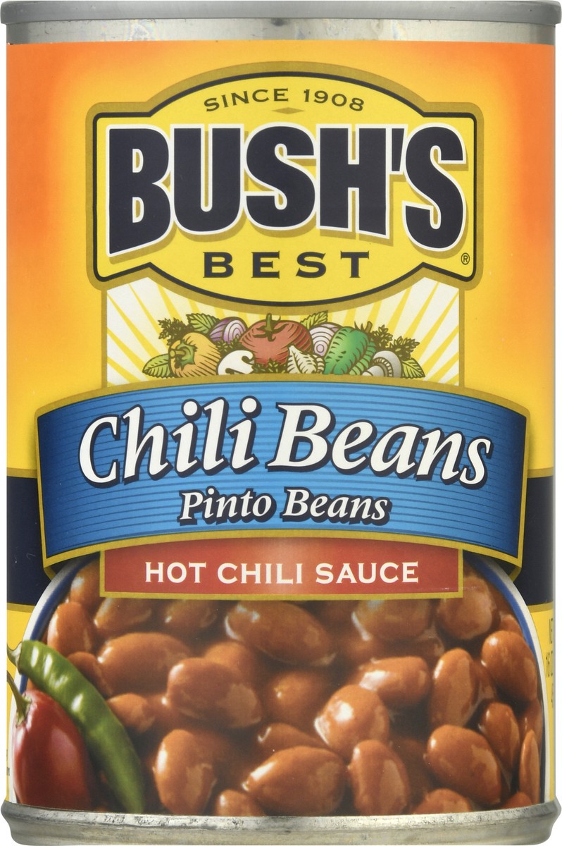 slide 5 of 10, Bush's Best Bush's Pinto Beans in a Hot Chili Sauce 16 oz, 16 oz