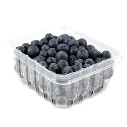 Floor Sun Hills Blueberries