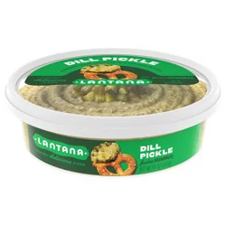 Lantana Dill Pickle Hummus topped with Diced Pickles and Dill