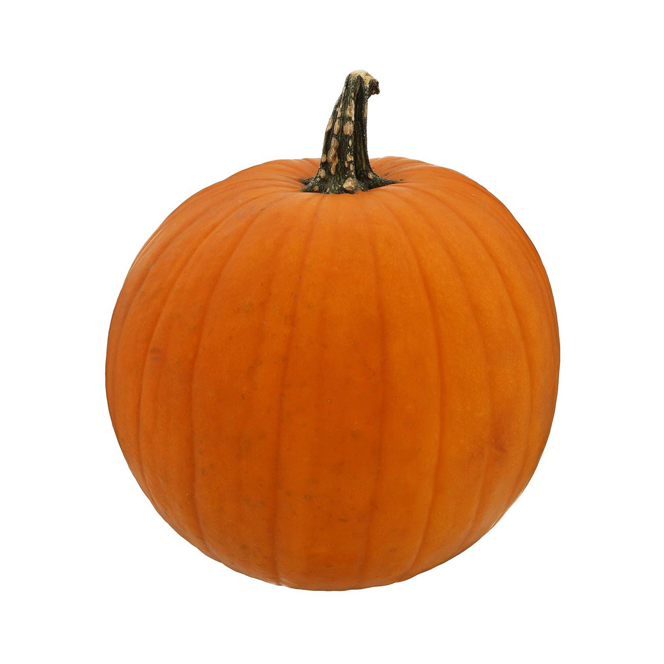 slide 1 of 1, Fresh Jack-O-Lantern Pumpkin, 1 ct