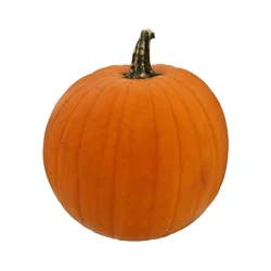 Fresh Jack-O-Lantern Pumpkin