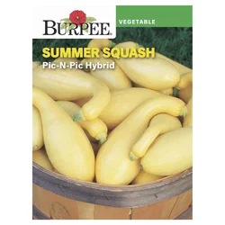 Burpee Summer Squash Pin-N-Pic Hybrid Seeds