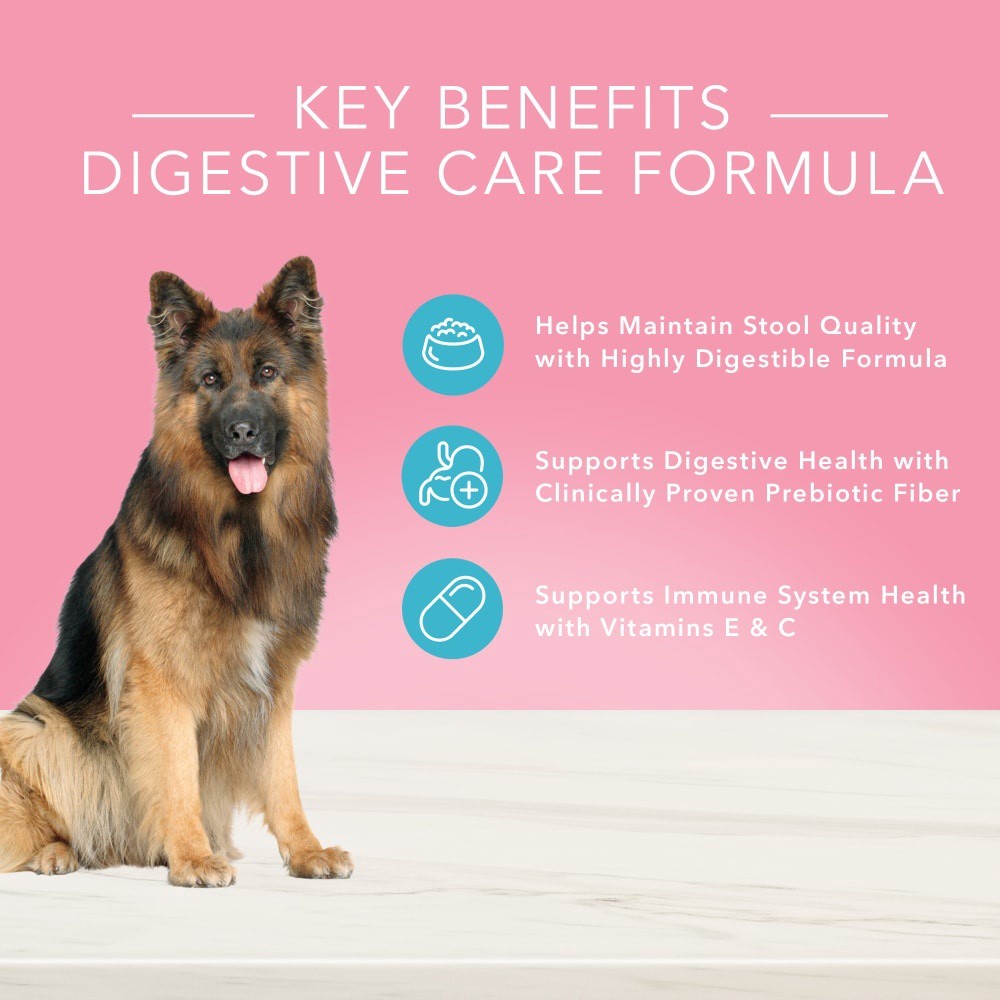 slide 2 of 4, Blue Buffalo True Solutions Blissful Belly Digestive Care Natural Wet Dog Food, 12.5 oz