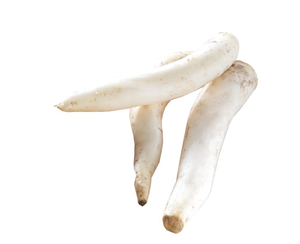 slide 1 of 1, Daikon Radish, 1 ct