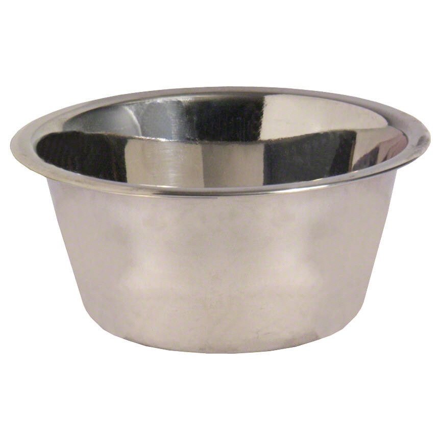 slide 1 of 1, SPOT Mirror Finish Water Dish, 1 ct