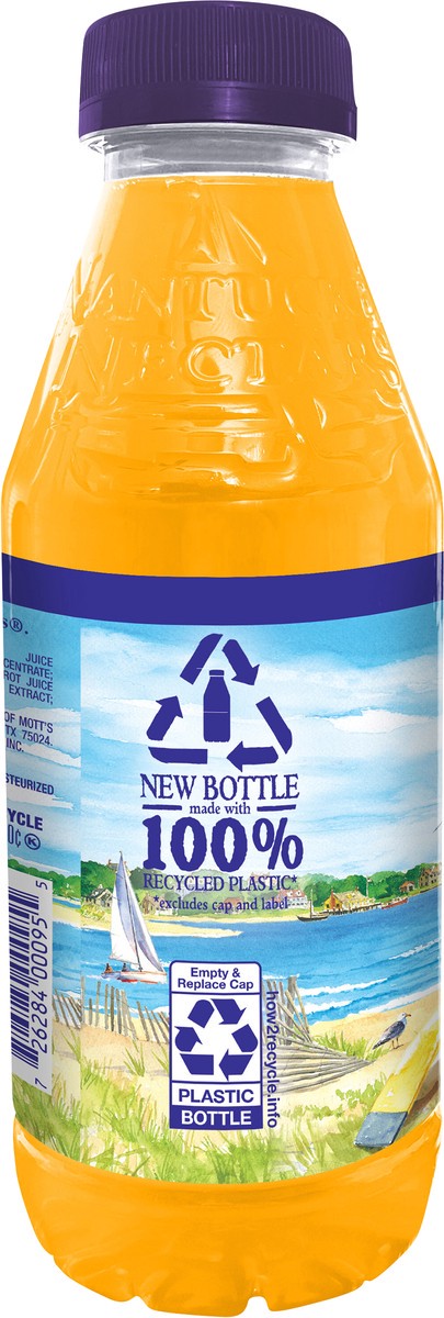 slide 6 of 12, Nantucket Nectars Peach O, 1 ct