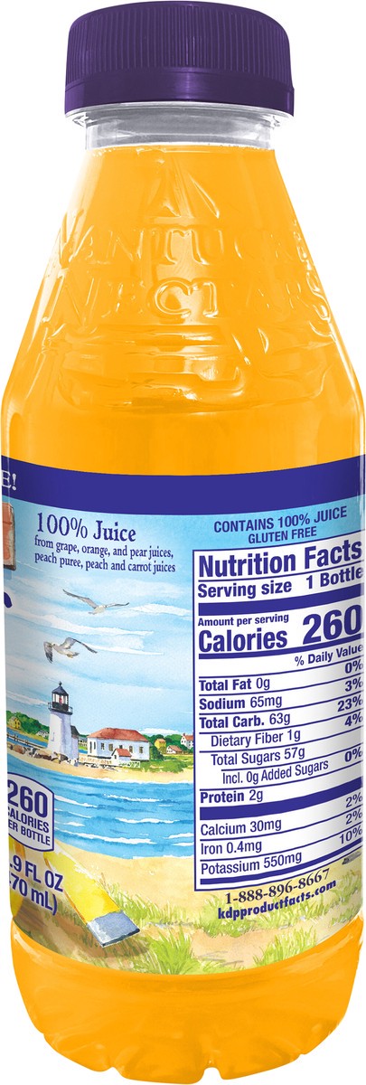 slide 3 of 12, Nantucket Nectars Peach O, 1 ct