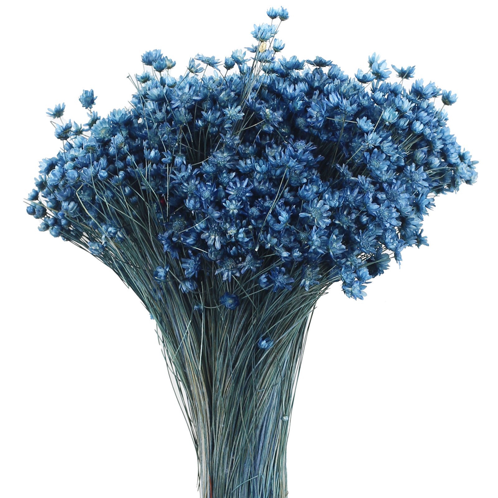 slide 2 of 2, 14" Navy Blue Dried Campo Flower Bunch By Ashland, 6 in x 4 in x 14 in
