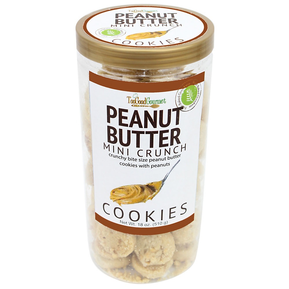 slide 1 of 1, Too Good Gourmet Cookies, Peanut Butter Chip, 18 Oz Tube, 1 ct