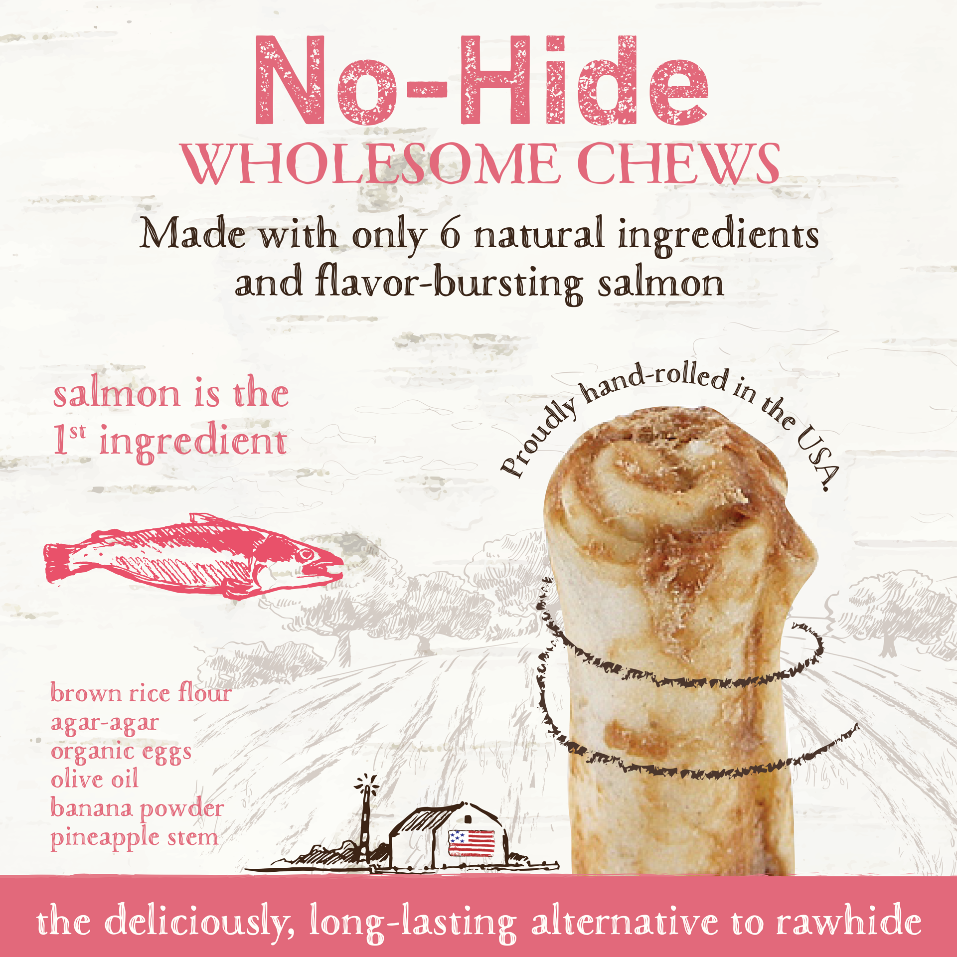 slide 3 of 5, Earth Animal No-Hide Wild-Caught Salmon Medium Natural Rawhide Alternative Dog Chews, 2 Pack, 1 ct