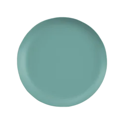 ROOM & RETREAT RR MELAMINE SALAD PLATE SAGE