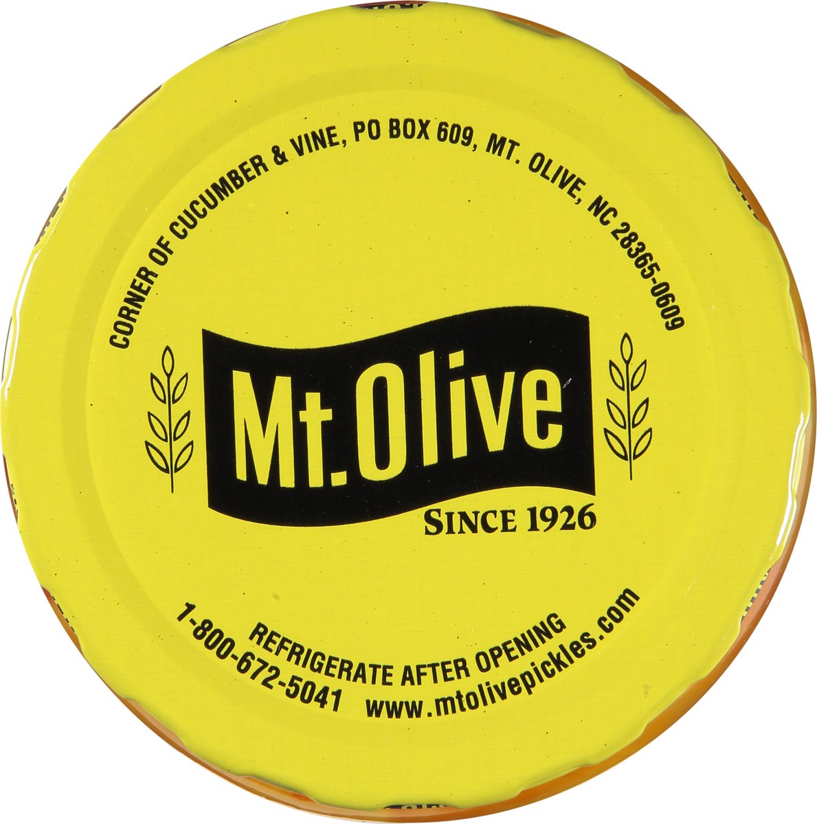 slide 6 of 12, Mt Olive Simply Vidalia Pickled Onion Strips - 16 Fl. Oz., 16 fl oz