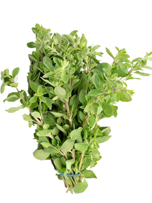 slide 1 of 1, Goodness Gardens Fresh Marjoram, 0.25 oz