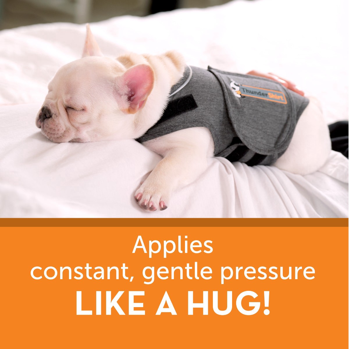 slide 5 of 17, ThunderShirt Heather Gray Dog Anxiety Solution, 1 ct