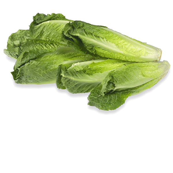 slide 1 of 2, Ocean Mist Farms Romaine Hearts, Fresh Picked, 6 ct