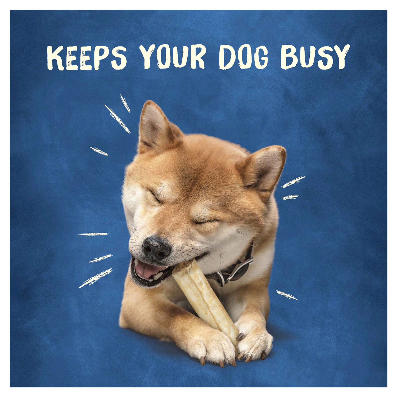 slide 5 of 5, Busy Purina Busy Rawhide Small/Medium Breed Dog Bones, Rollhide - 9 ct. Pouch, 12 oz