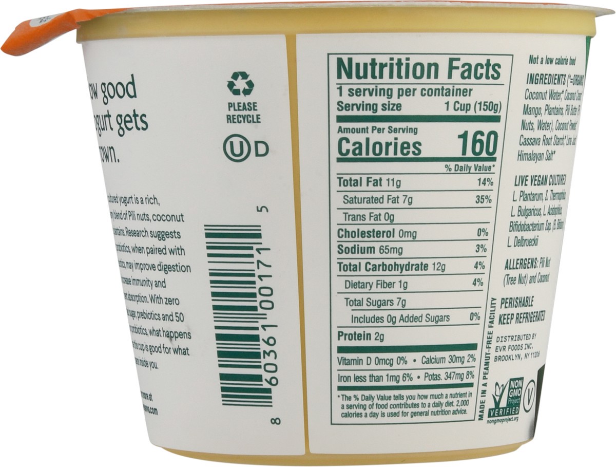 slide 9 of 14, Lavva Mango Plant Based Yogurt, 5.3 oz